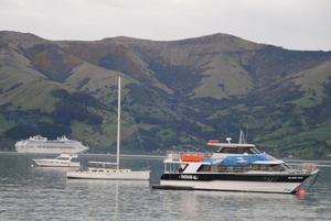 Extra cruise ship visits will provide a well needed boost as leading Bank Peninsula Tourism operator Black Cat Cruises gears up for a challenging summer season.